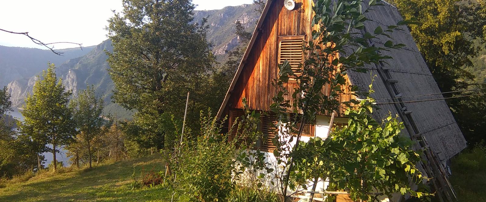 APARTMANI SMJESTAJ PLUZINE