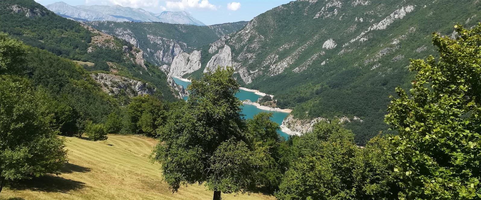 IZDAVANJE APARTMANA PLUZINE