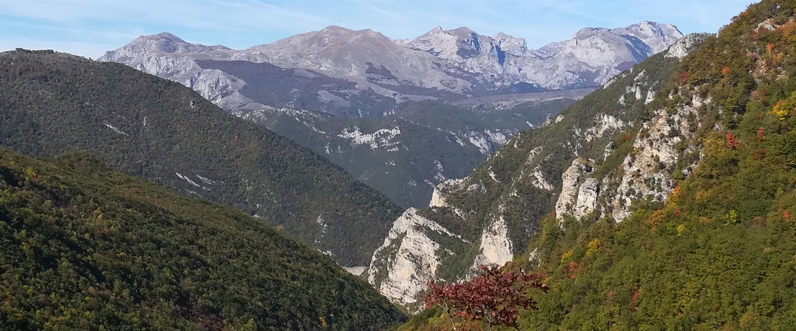 IZDAVANJE APARTMANA PLUZINE