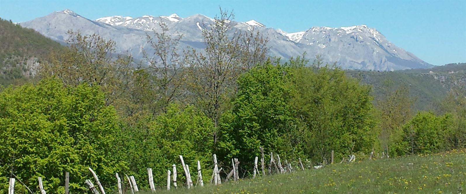 IZDAVANJE APARTMANA PLUZINE