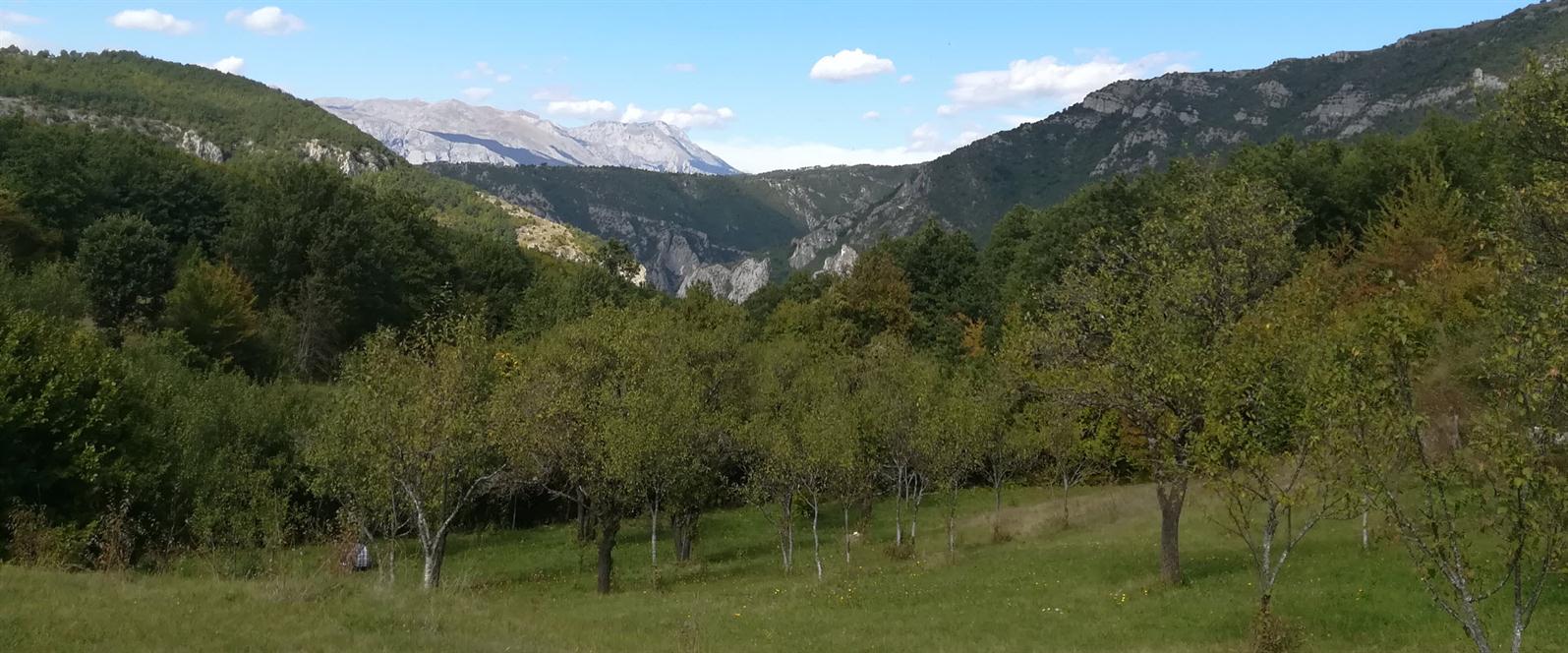 IZDAVANJE APARTMANA PLUZINE