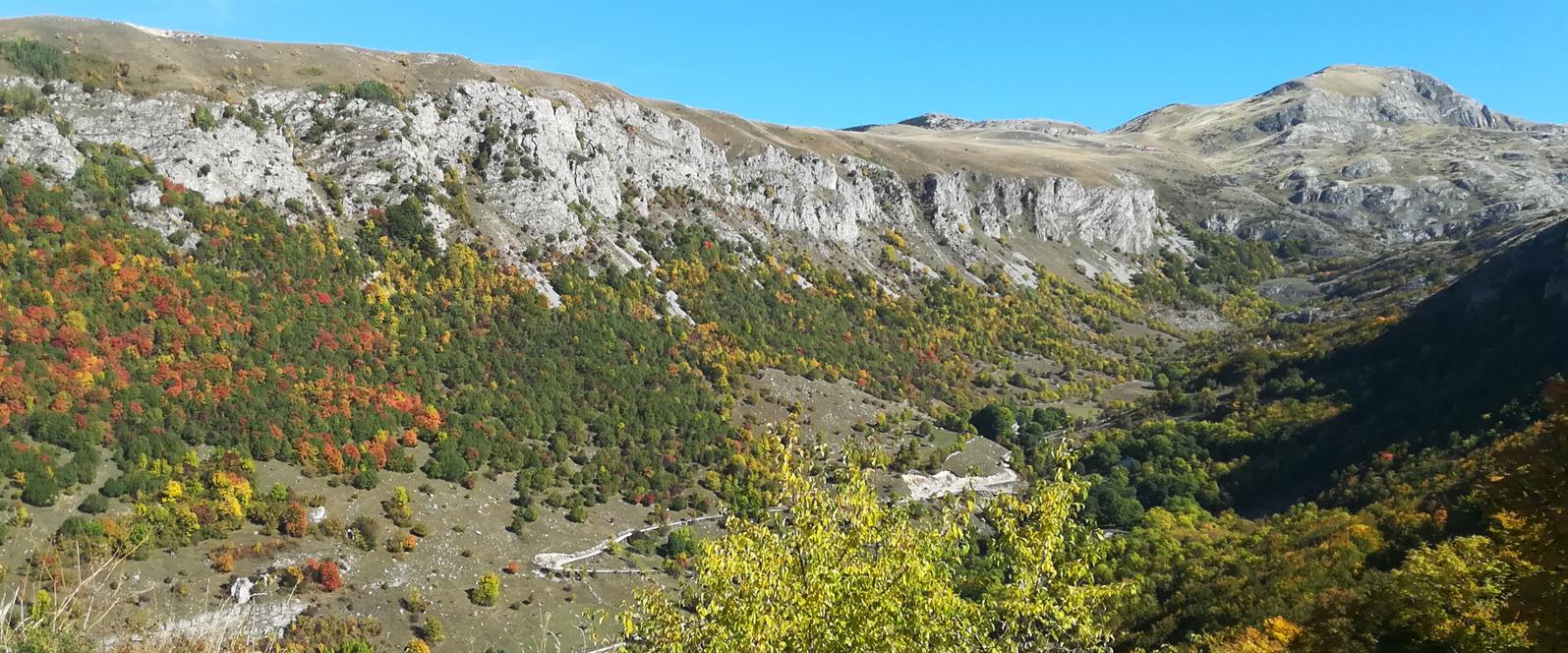 IZDAVANJE APARTMANA PLUZINE
